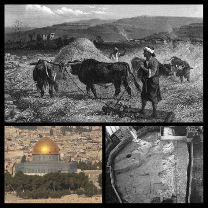 Threshing floor Jerusalem